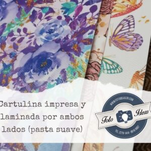 Cartulina impresa y laminada por ambos lados (pasta suave)